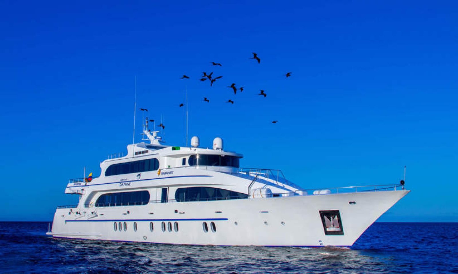 Navegue por las islas encantadas a bordo de cruceros de primera categoría y descubra una fauna extraordinaria, paisajes volcánicos y aventuras inolvidables.