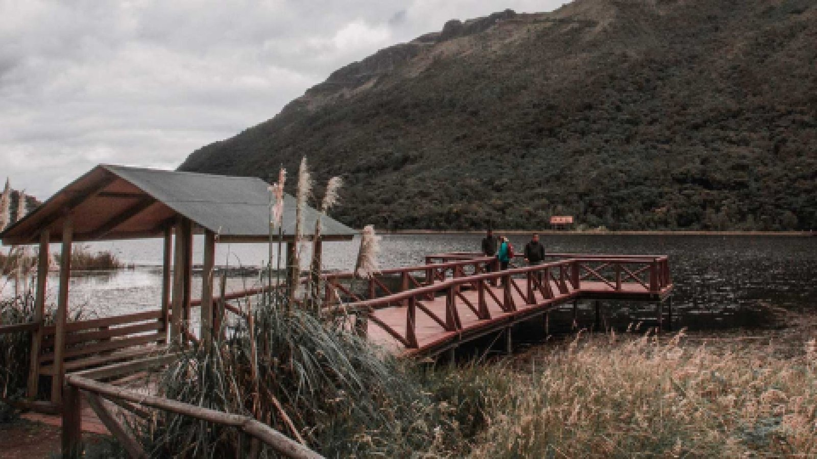 El Paraíso Secreto de Cajas: Senderismo y Biodiversidad en el Parque Nacional