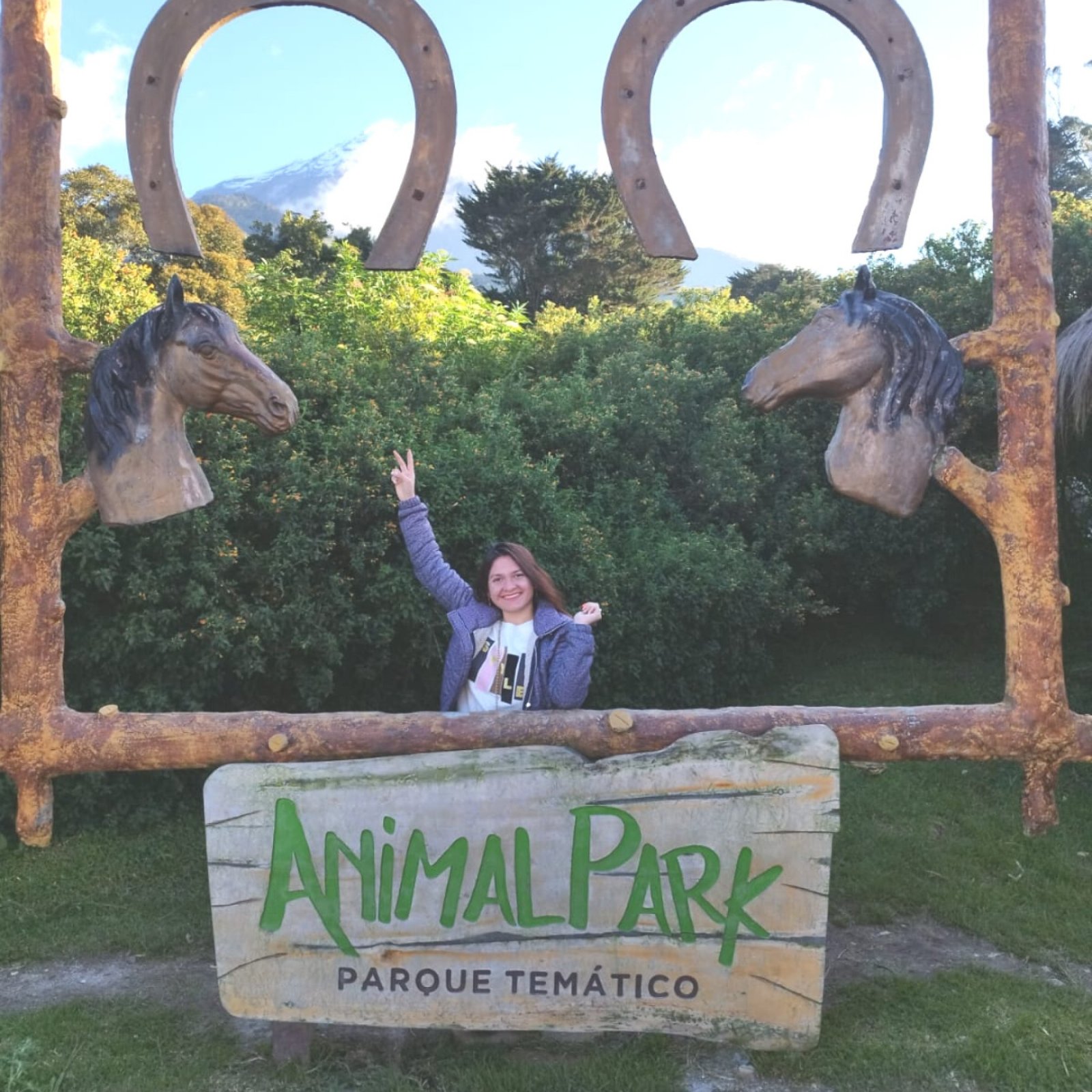 Todo lo que debes saber de Animal Park