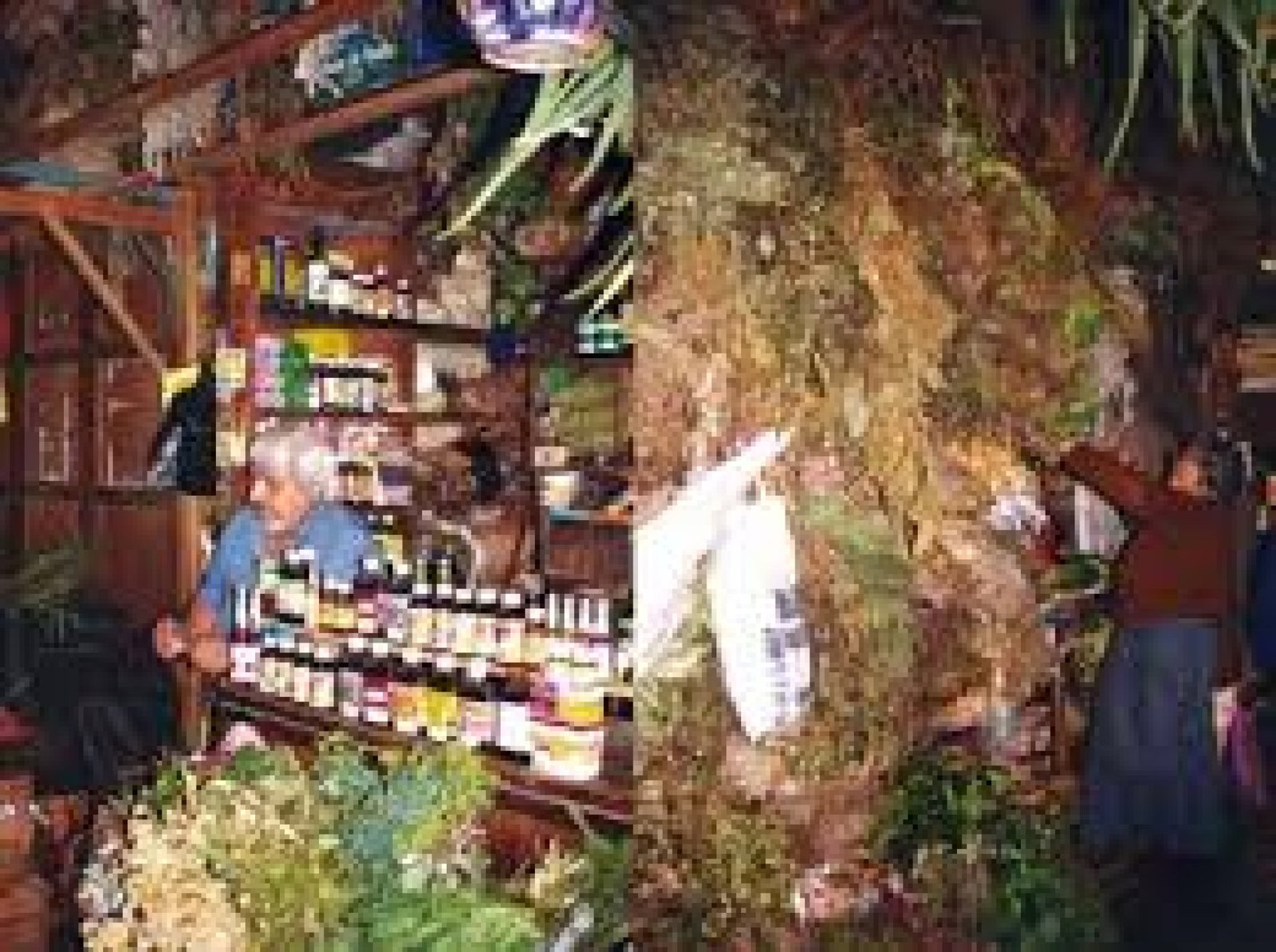 Aromas of the Andes: Medicinal Plant and Natural Essence Tourism in Ecuador