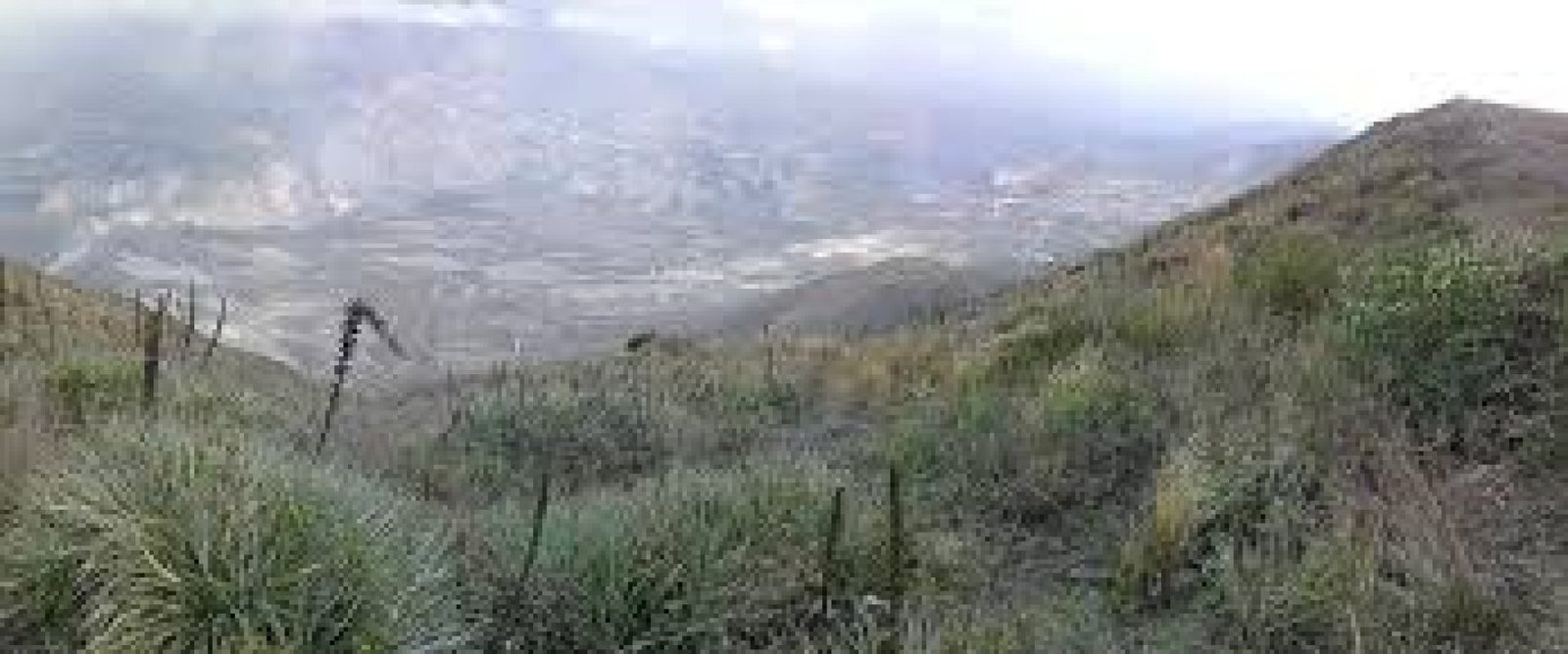 Achupallas Protected Forest: High Andean páramo, hidden lagoons, and Cañari heritage in Chimborazo