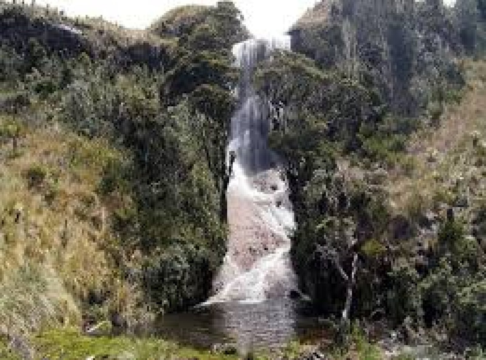 Bosque Protector El Canclón: humedales costeros y aves migratorias en Loja