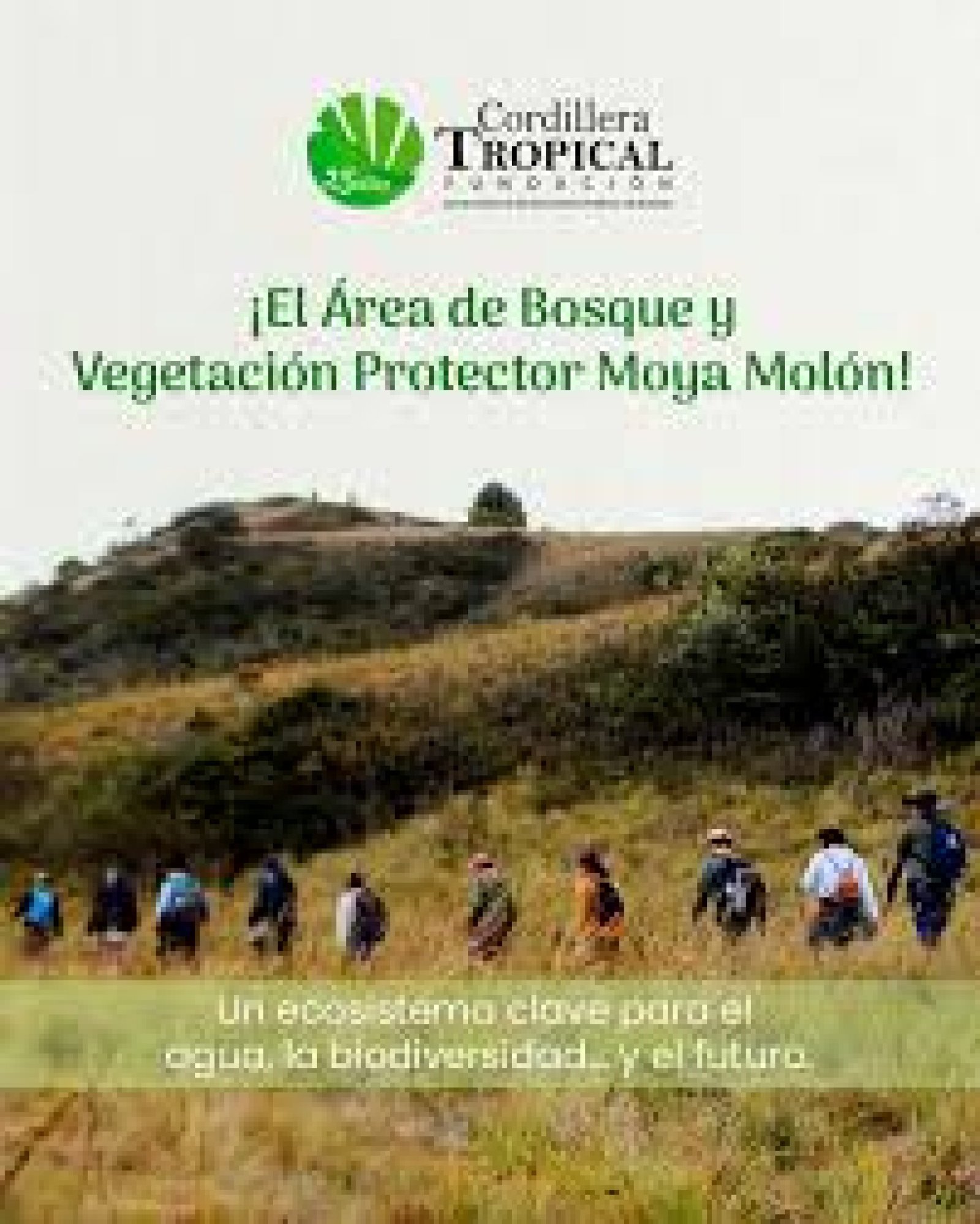 La Moya Protected Forest: biodiversity and ecological trails in Manabí