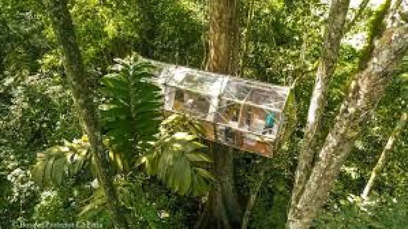 La Perla Protected Forest: Coastal Biodiversity and Natural Trails in Santo Domingo
