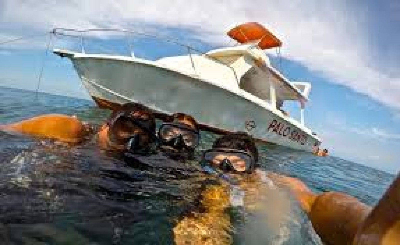 Buceo y snorkel en la Isla de la Plata: la “hermana pequeña” de Galápagos