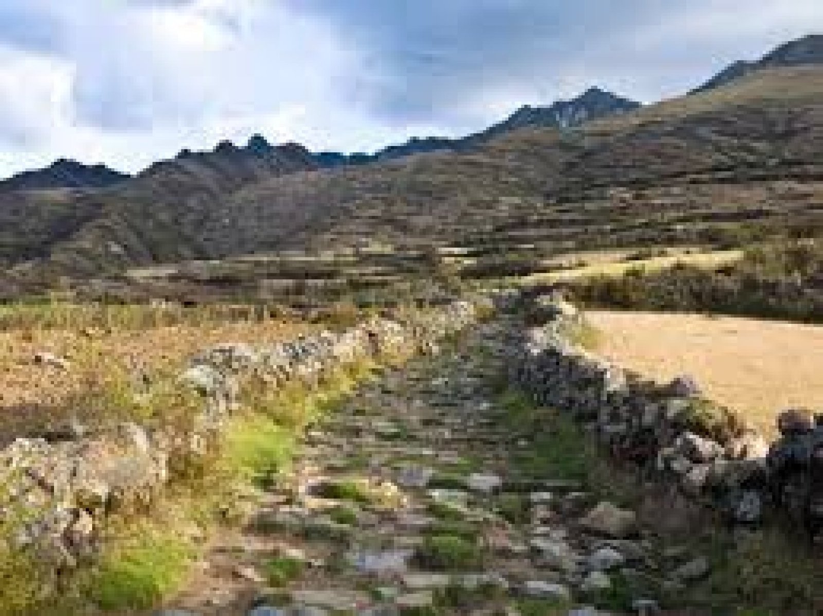 Caminos del Silencio: Turismo en Antiguos Caminos Incas y Senderos Prehispánicos del Ecuador