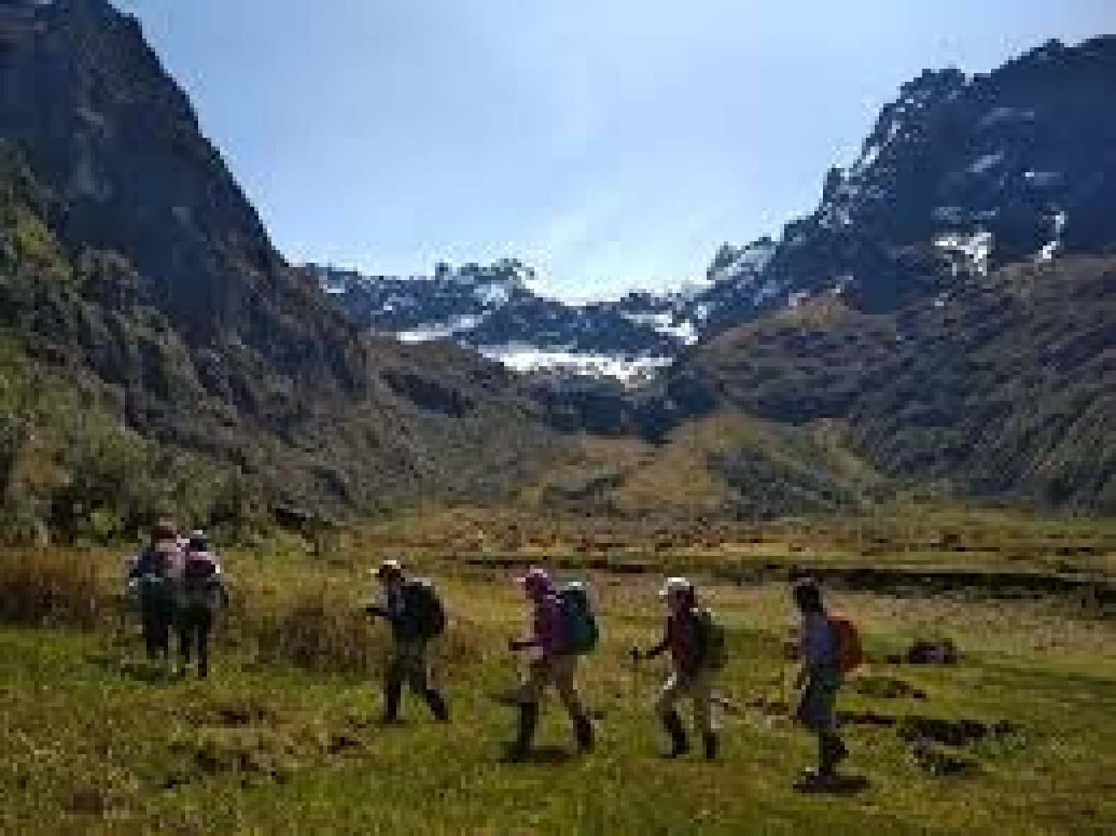 Experiencias de camping y observación de fauna en páramos de altura