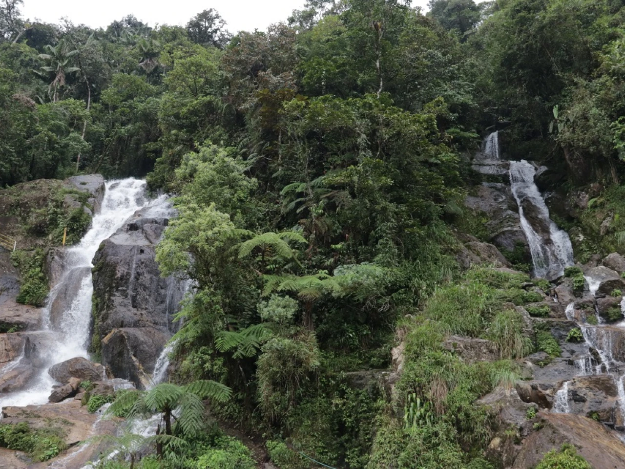 Cascada El Hogar de los Dioses: selva virgen y aventura en Zamora Chinchipe