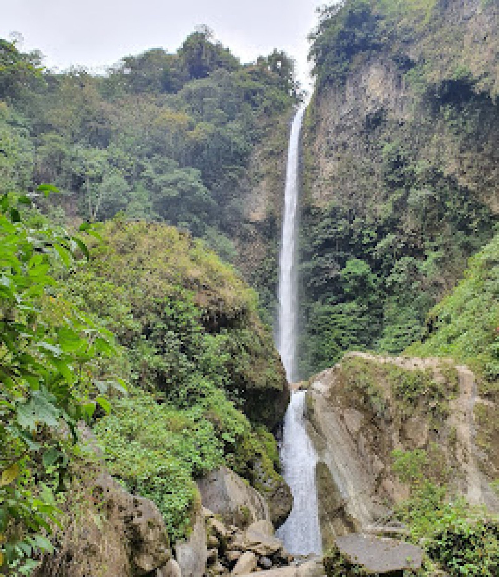 El Rocío Waterfall in Mindo: mist, hummingbirds, and cloud forest nature