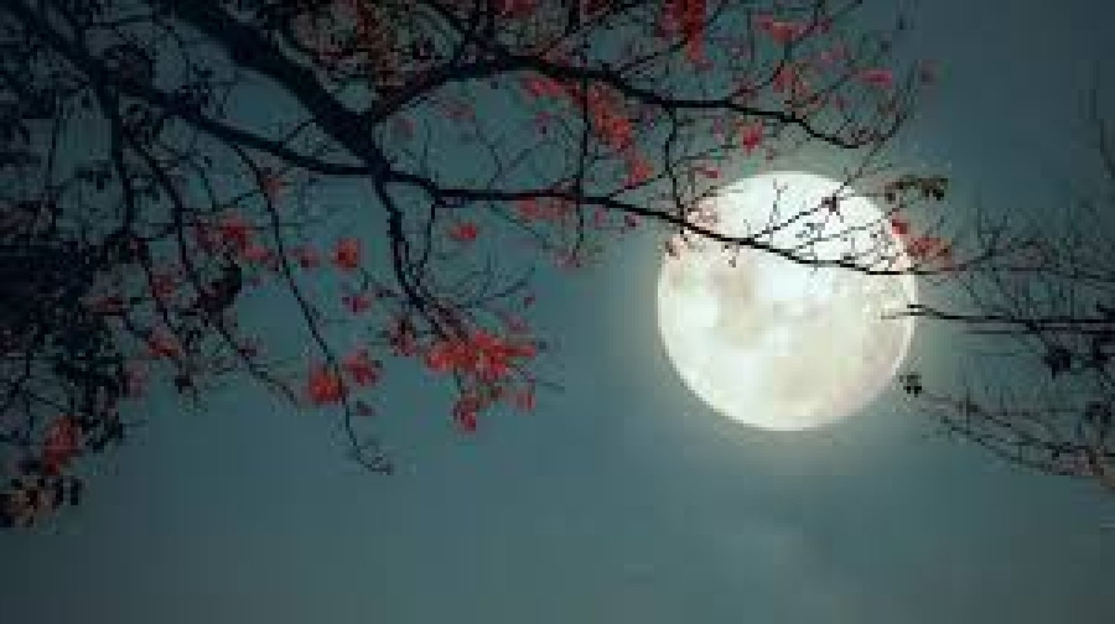 Full Moon Ceremonies in Ecuador’s Sierra: Rituals of Energy and Renewal