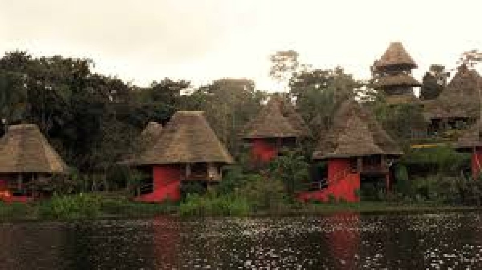 Cómo es un tour en el Parque Nacional Yasuní con guías locales kichwa