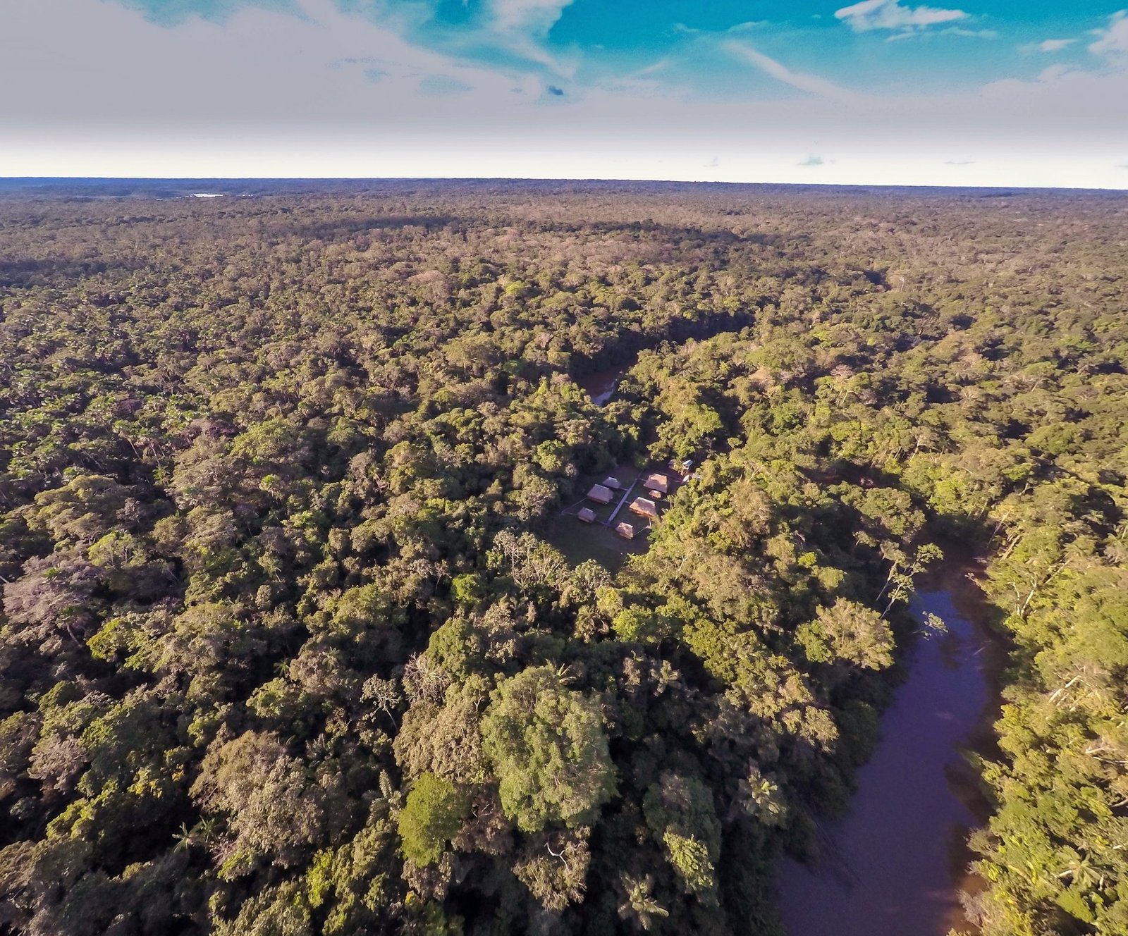 How Much Does an Amazon Tour in Ecuador Cost? Complete 2026 Price Guide