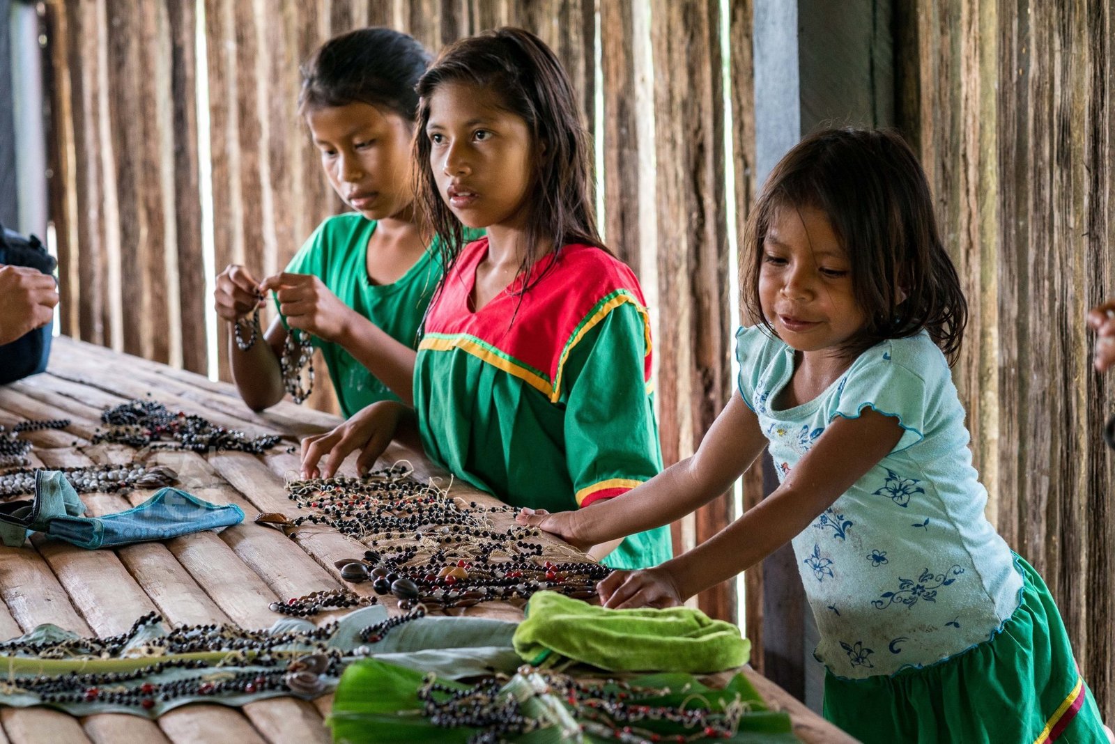 Amazon Indigenous Community Experiences in Ecuador: Culture, Traditions and Responsible Tourism