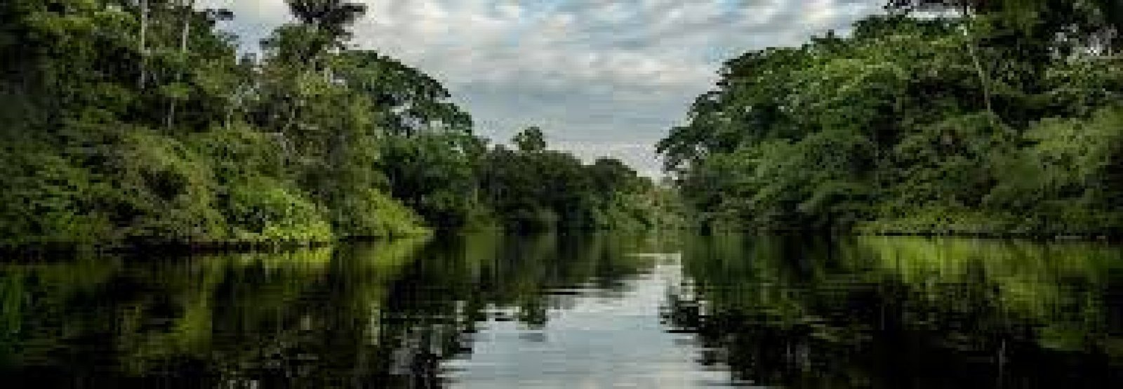 Cuyabeno Wildlife Reserve: Amazon Adventures in the Heart of Ecuador