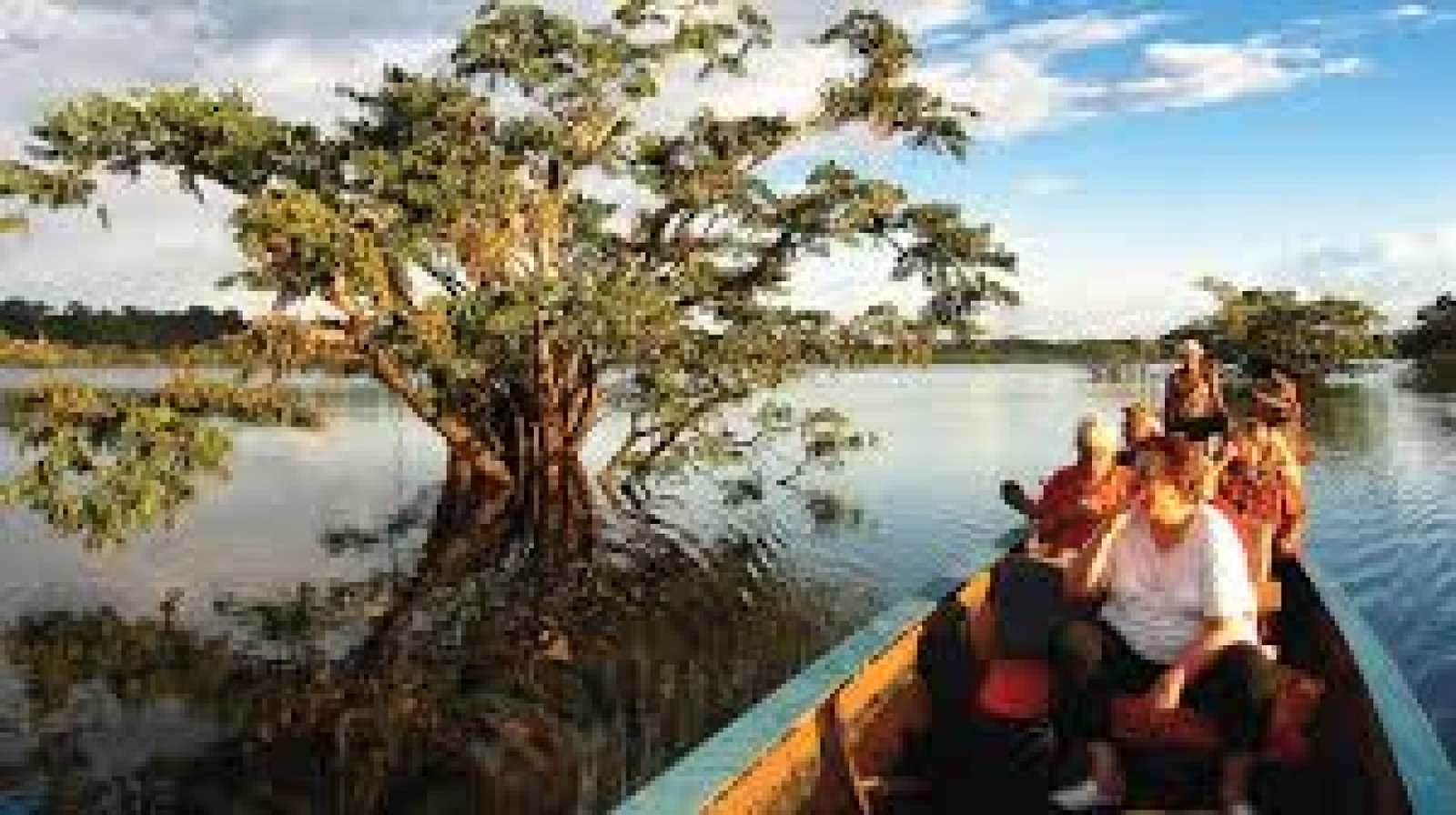  Descubre el Cuyabeno: selva, comunidades y vida salvaje en la Amazonía