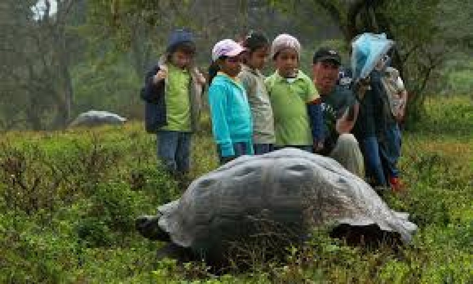 Ecotourism in the Galápagos: How to Travel Responsibly in the Enchanted Islands