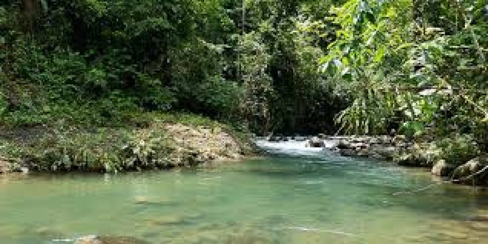 Ecotourism in Río Silanche Reserve: Birds, Butterflies, and Nature