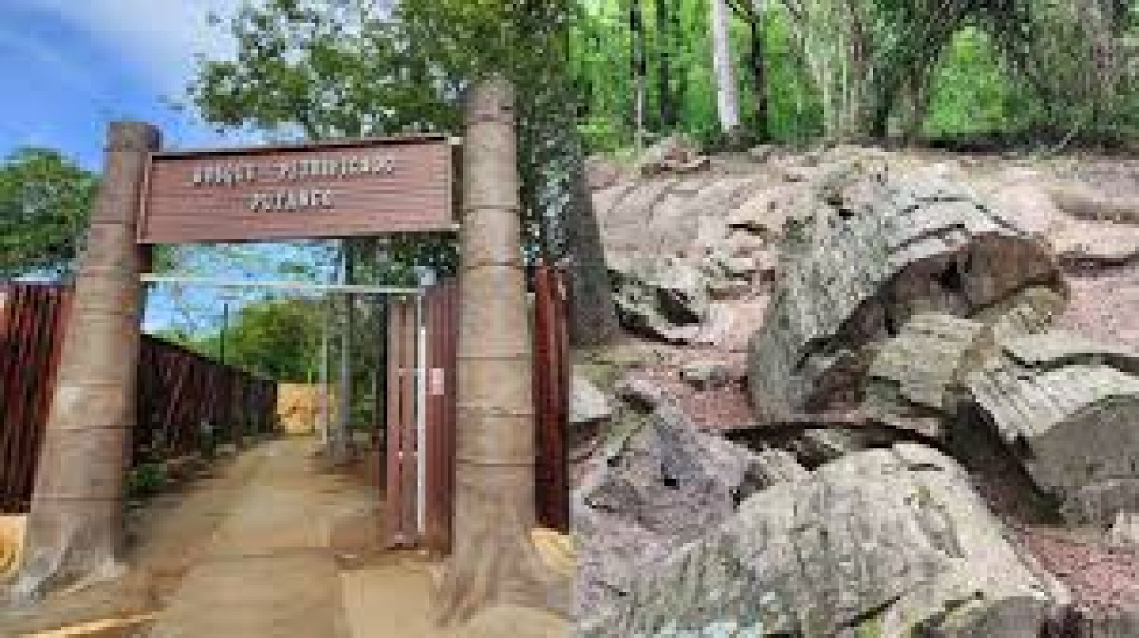 El Bosque Petrificado de Puyango: Un Viaje a la Prehistoria en Ecuador