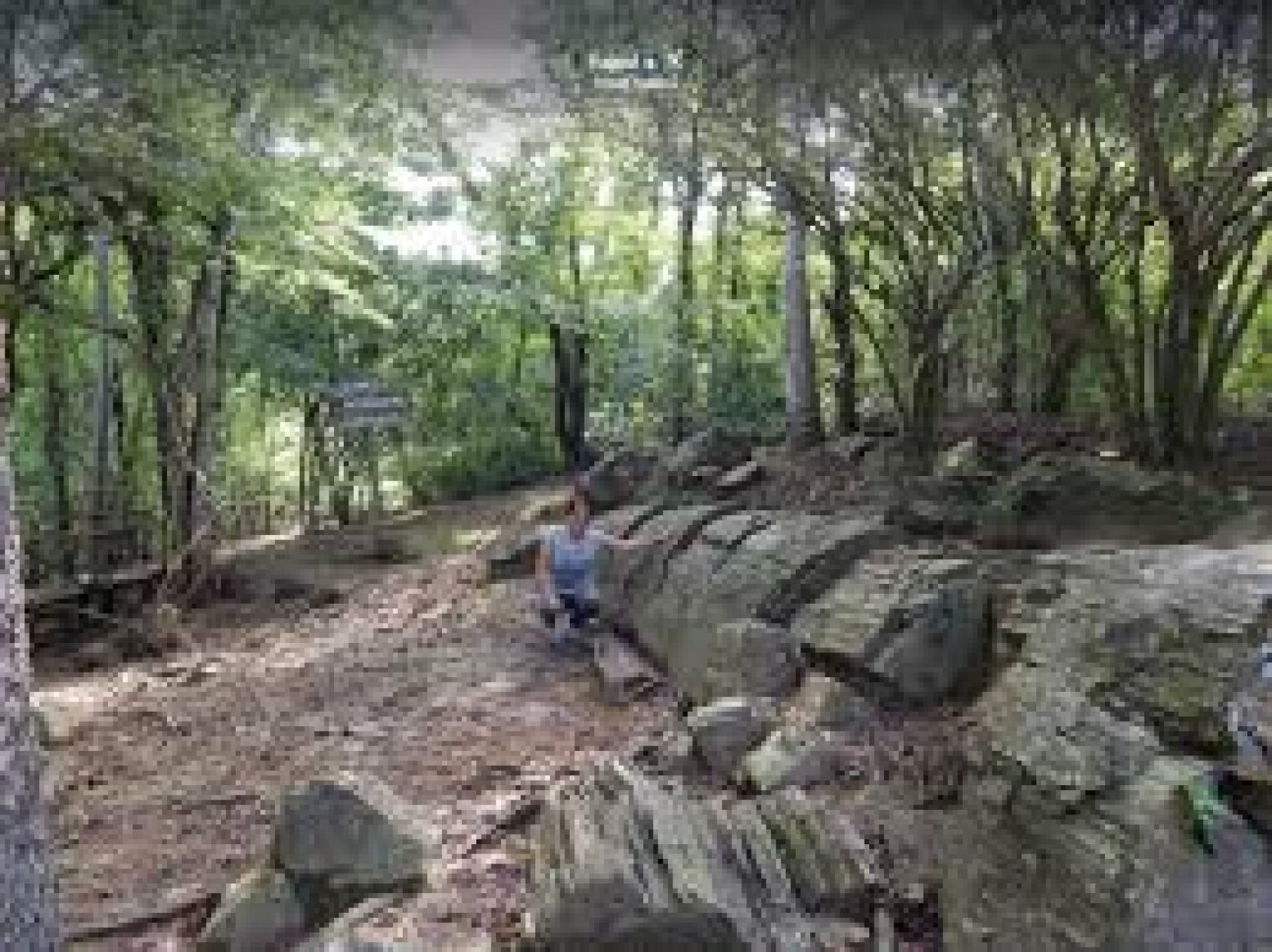 El Bosque Petrificado de Puyango: Un Viaje al Pasado Prehistórico de Ecuador