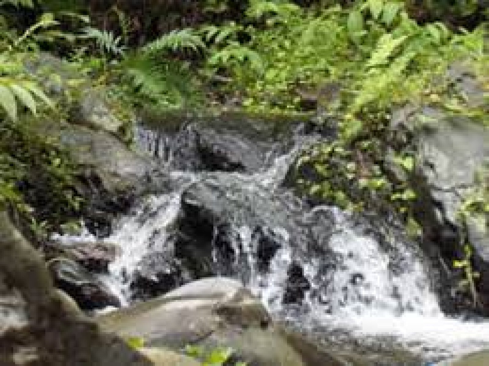 Cerro de Hayas Protected Forest: natural viewpoints, waterfalls, and dry forests in El Oro