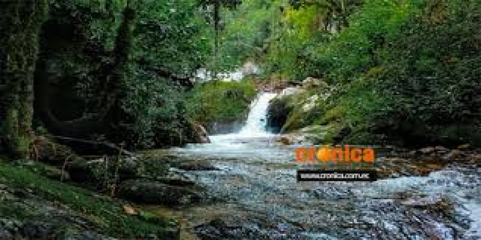 The Water Trail in Loja: Andean Wisdom, Sacred Waterfalls, and Ancestral Spirituality