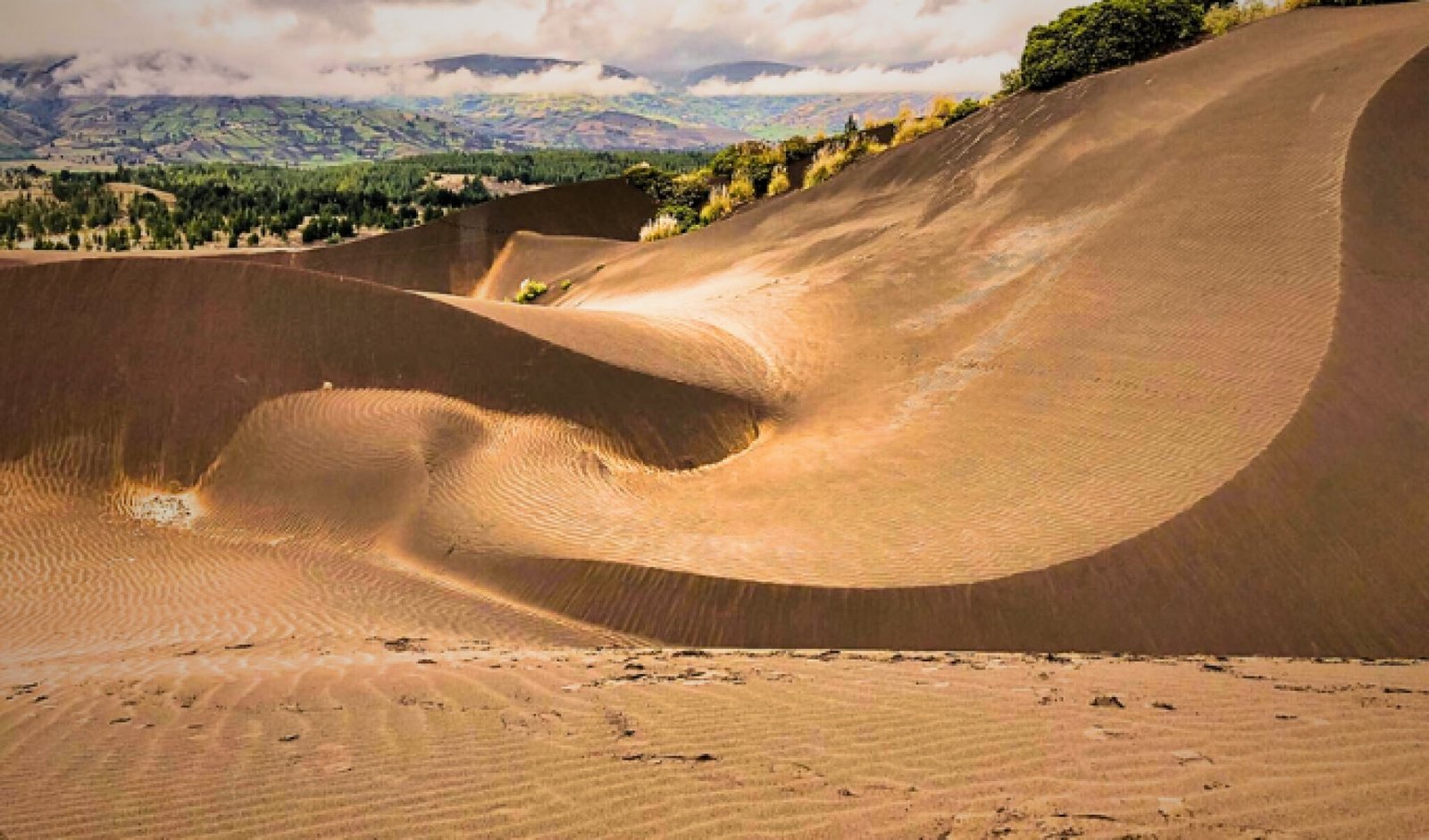 Palmira Desert: The Unexpected Landscape in Chimborazo