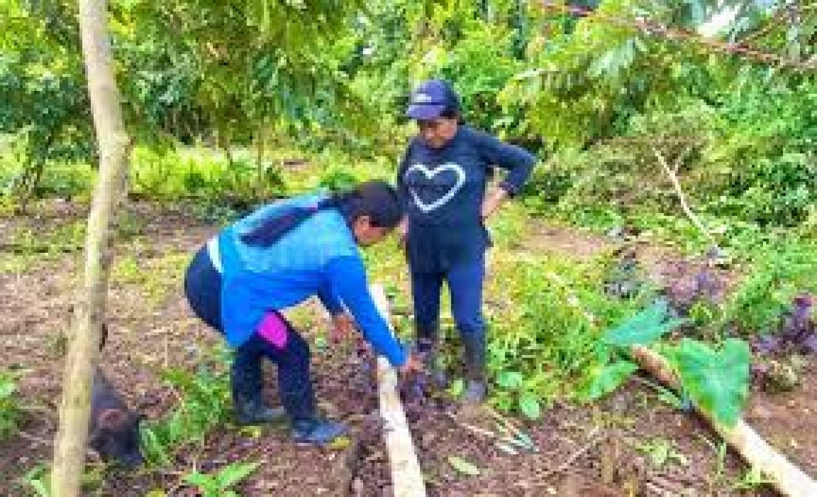 El Espíritu del Bosque: La Sabiduría Ancestral de los Shuar en la Amazonía Ecuatoriana