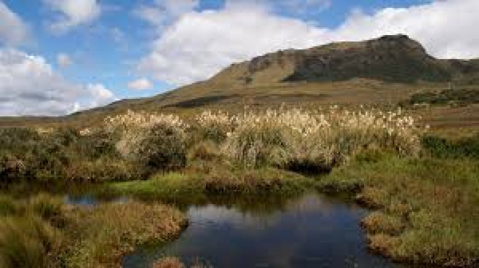 Llanganates National Park: A Natural Paradise of Adventure in Ecuador