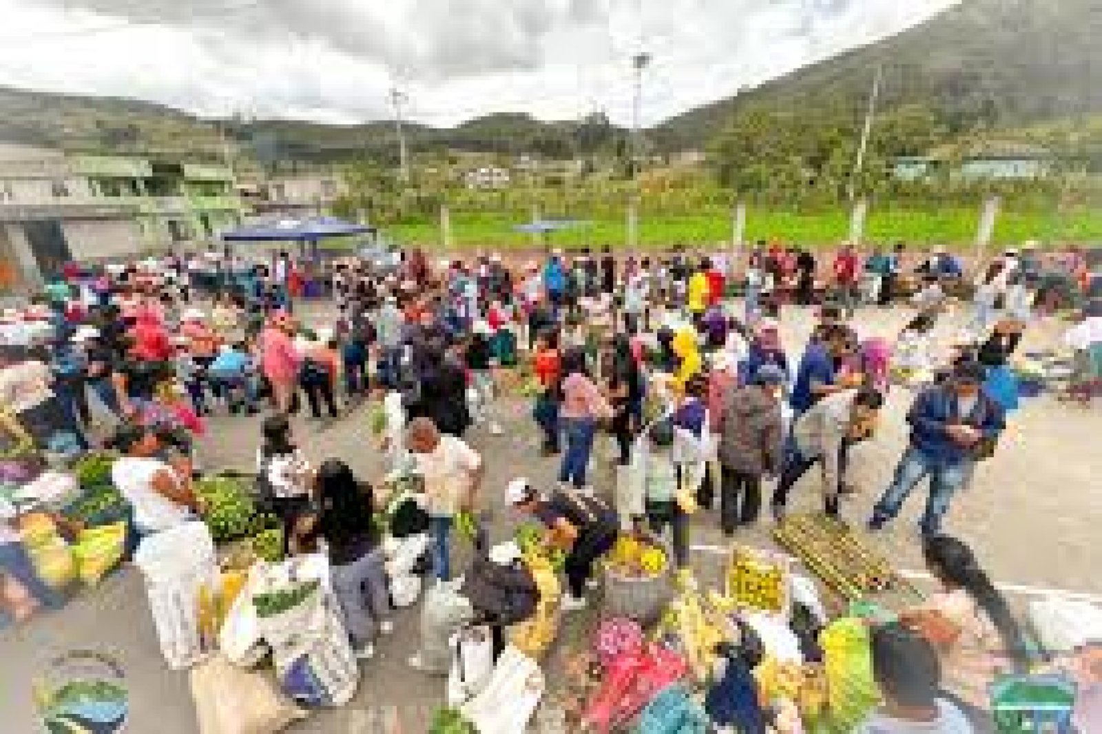 The Otavalo Barter Market: A Living Ancestral Economy in the Andes
