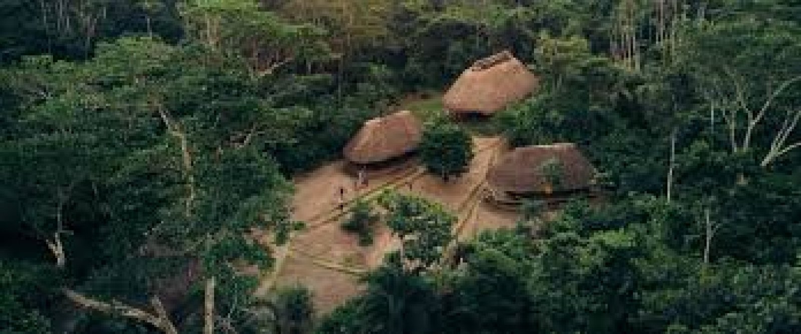 El ecoturismo en la Amazonía ecuatoriana: aventuras entre selva y ríos