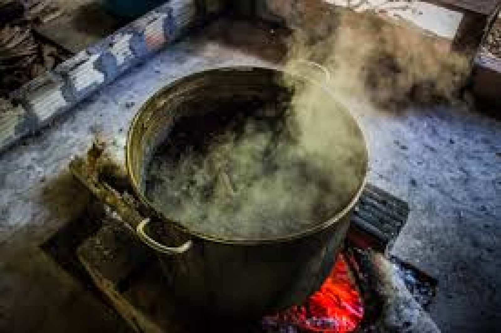 The Use of Ayahuasca in Ecuador’s Ancestral Tradition: A Path of Healing and Knowledge