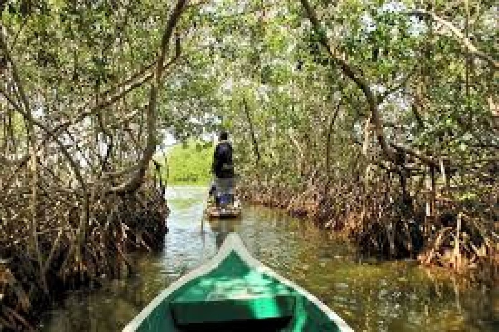 Boat Excursions through the Estuaries and Channels of Muisne