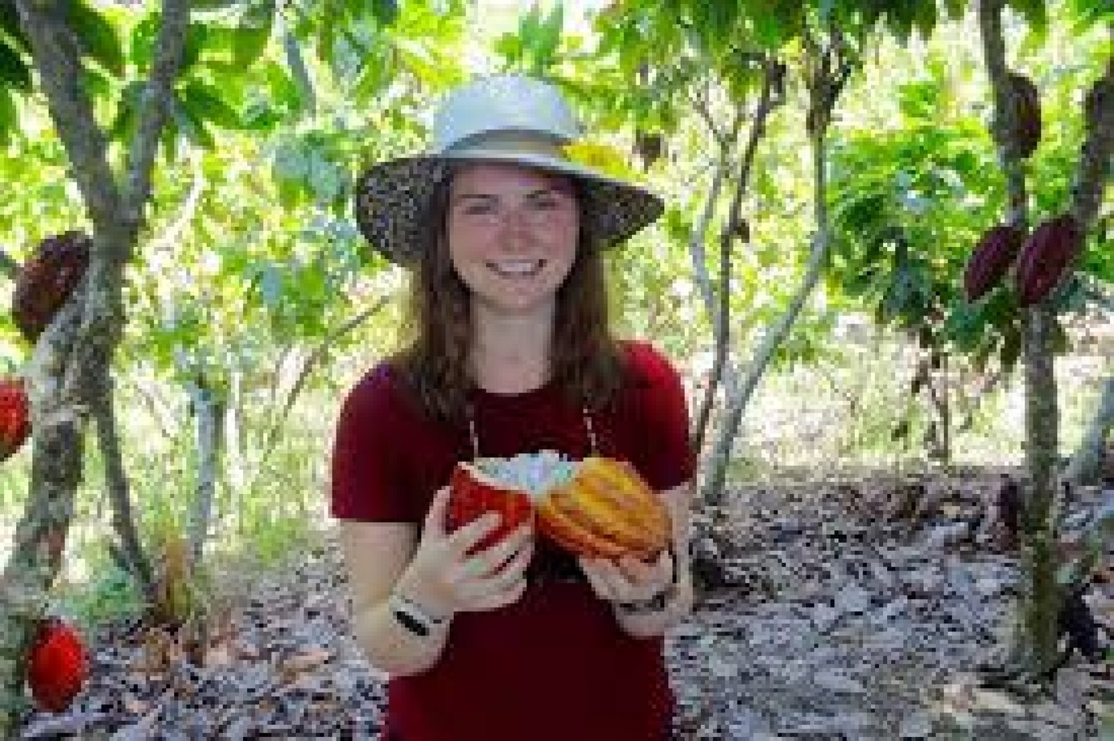 Experiences at Tropical Fruit Plantations in Ecuador
