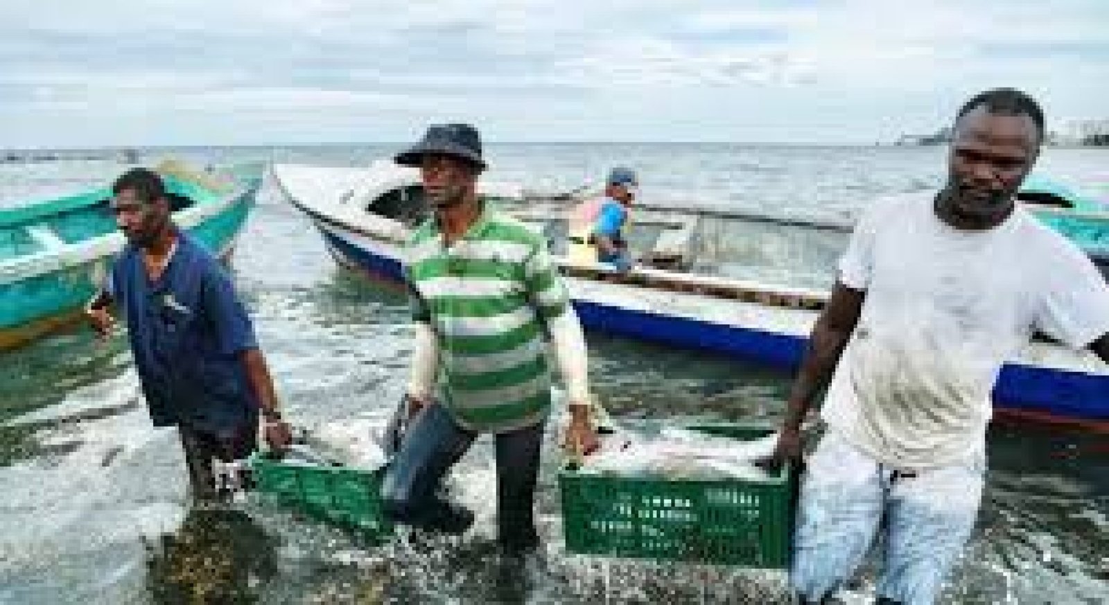 Artisanal Fishing Experiences with Coastal Communities in Ecuador