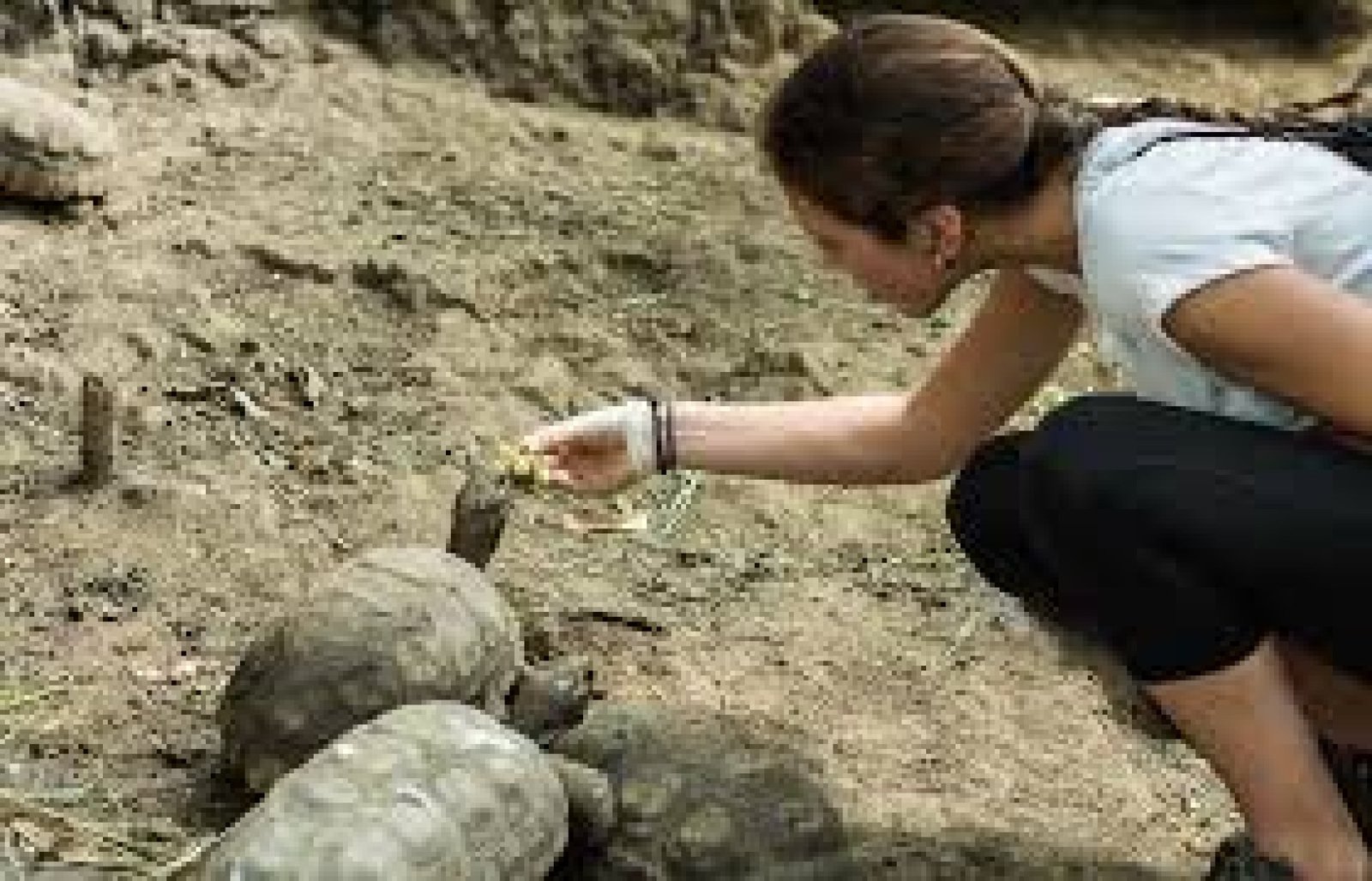 Experiencias de turismo educativo en centros de rescate de fauna en Ecuador