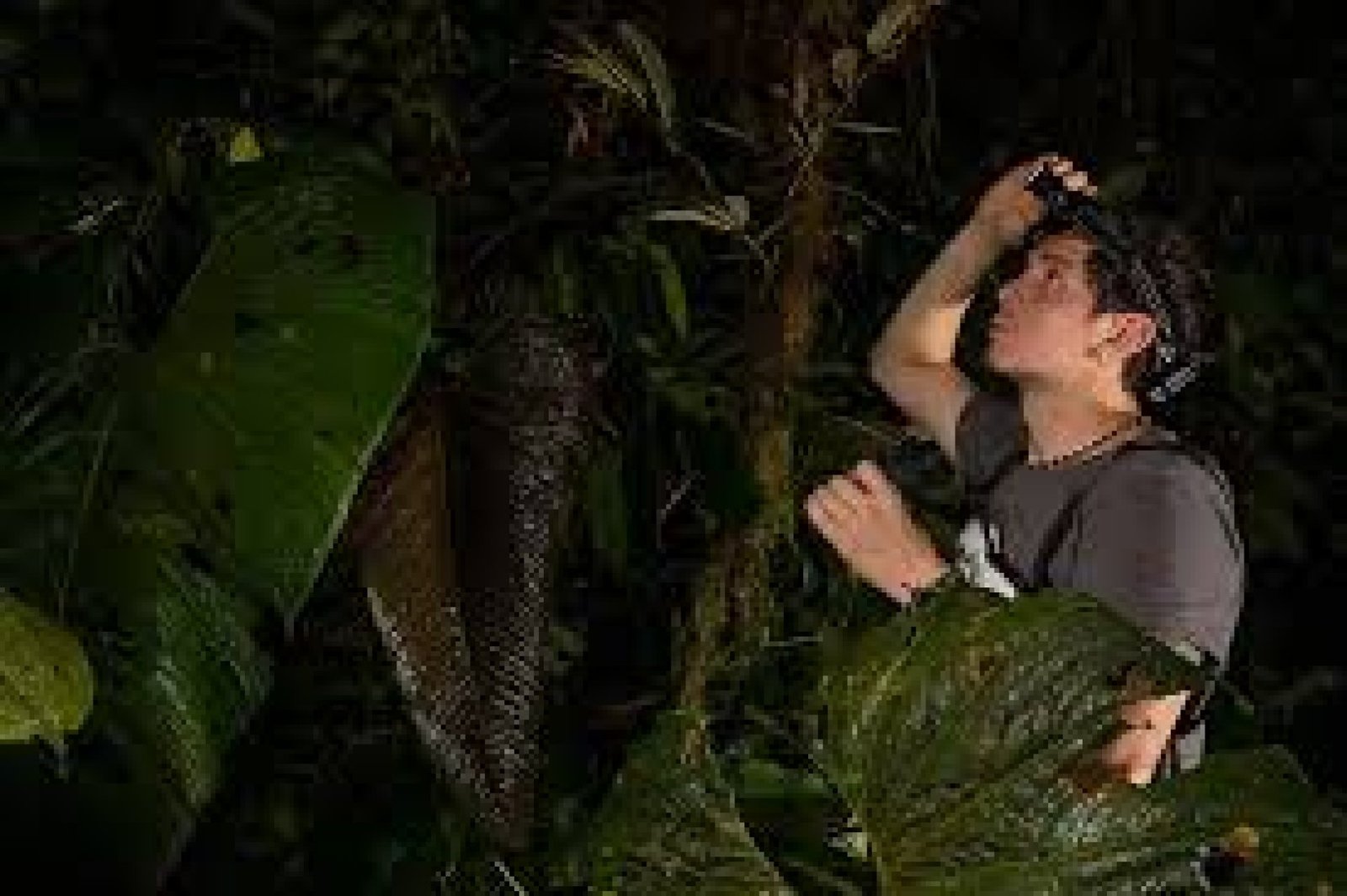 Experiencias de turismo nocturno en reservas naturales