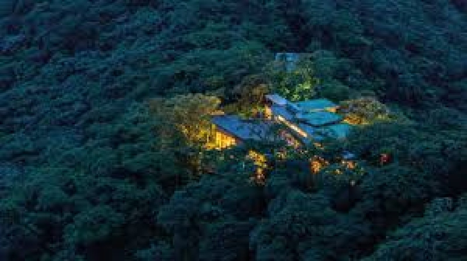 Nighttime Wildlife Tours in Ecuador’s Natural Reserves
