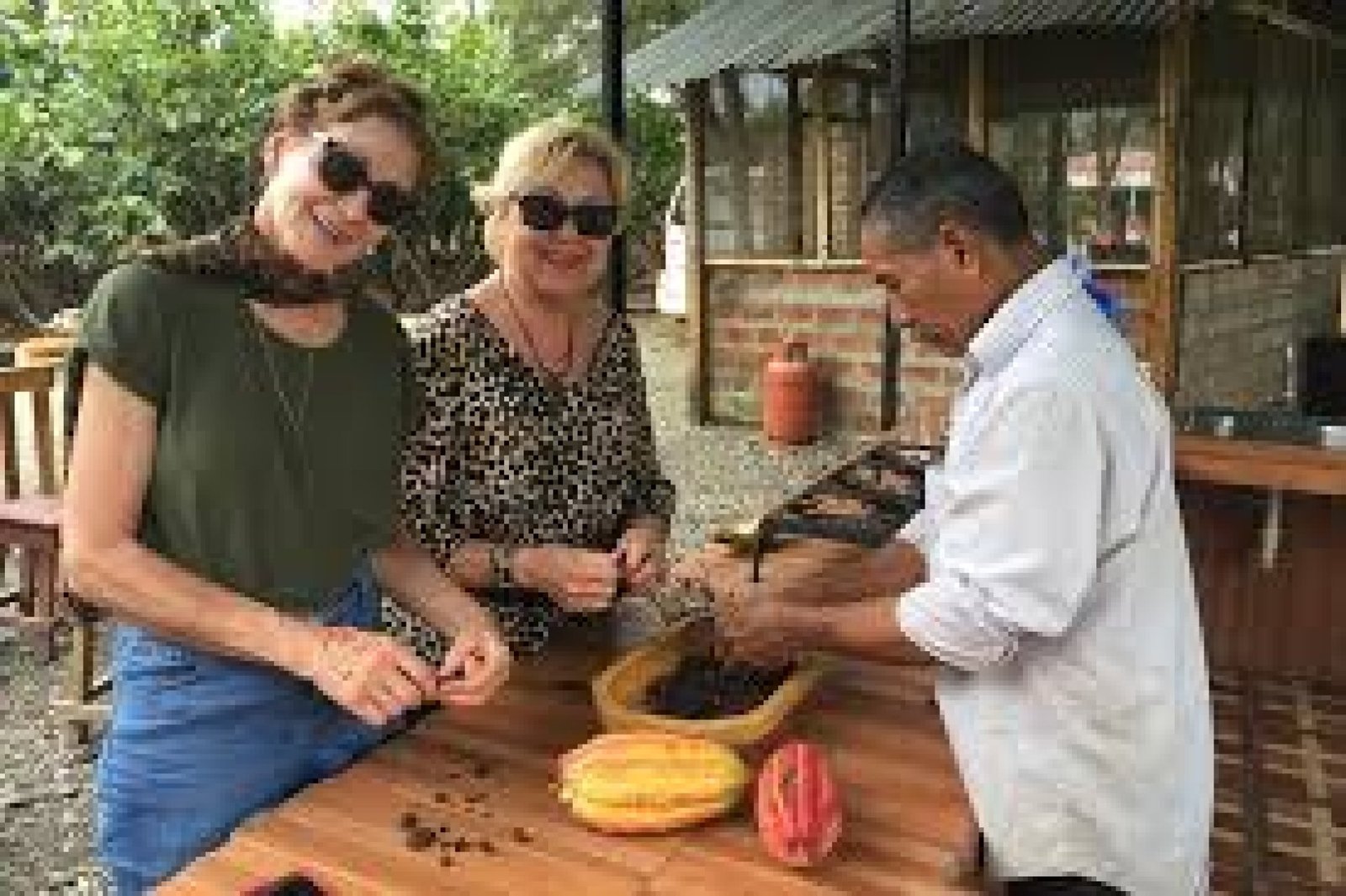 Experiences at Cocoa and Coffee Plantations with Tasting Workshops