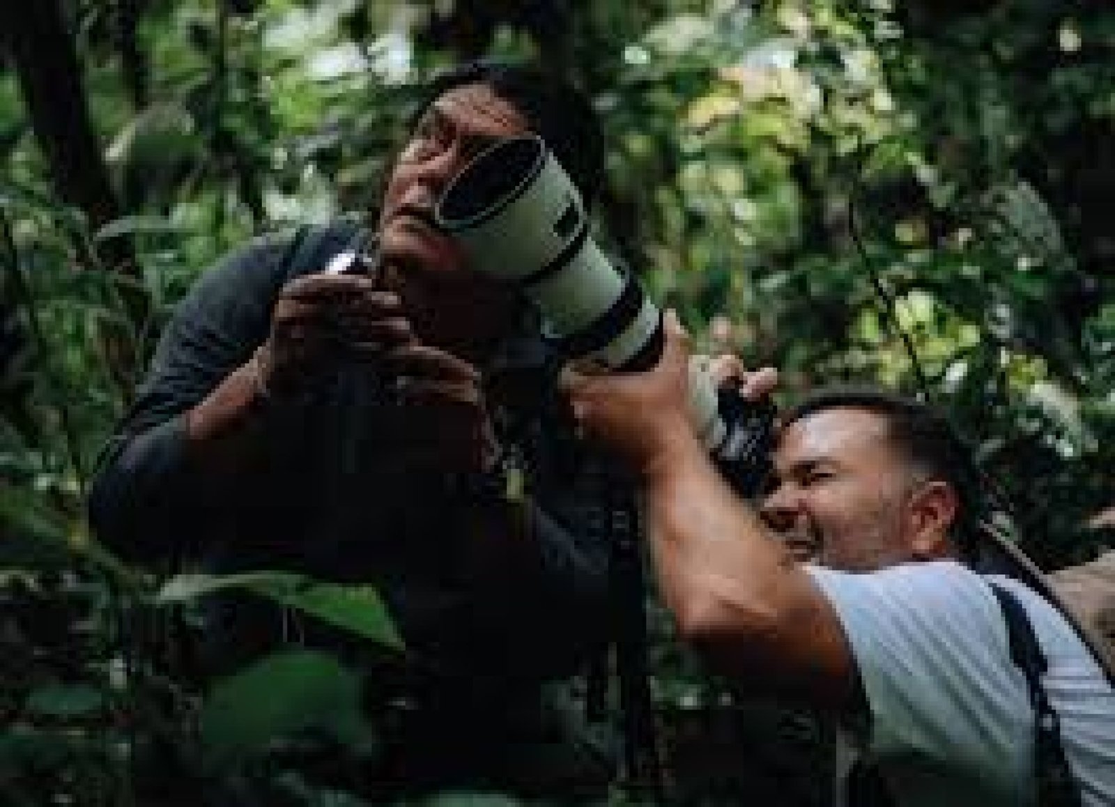 Experiencias de fotografía de fauna y flora en la Amazonía ecuatoriana
