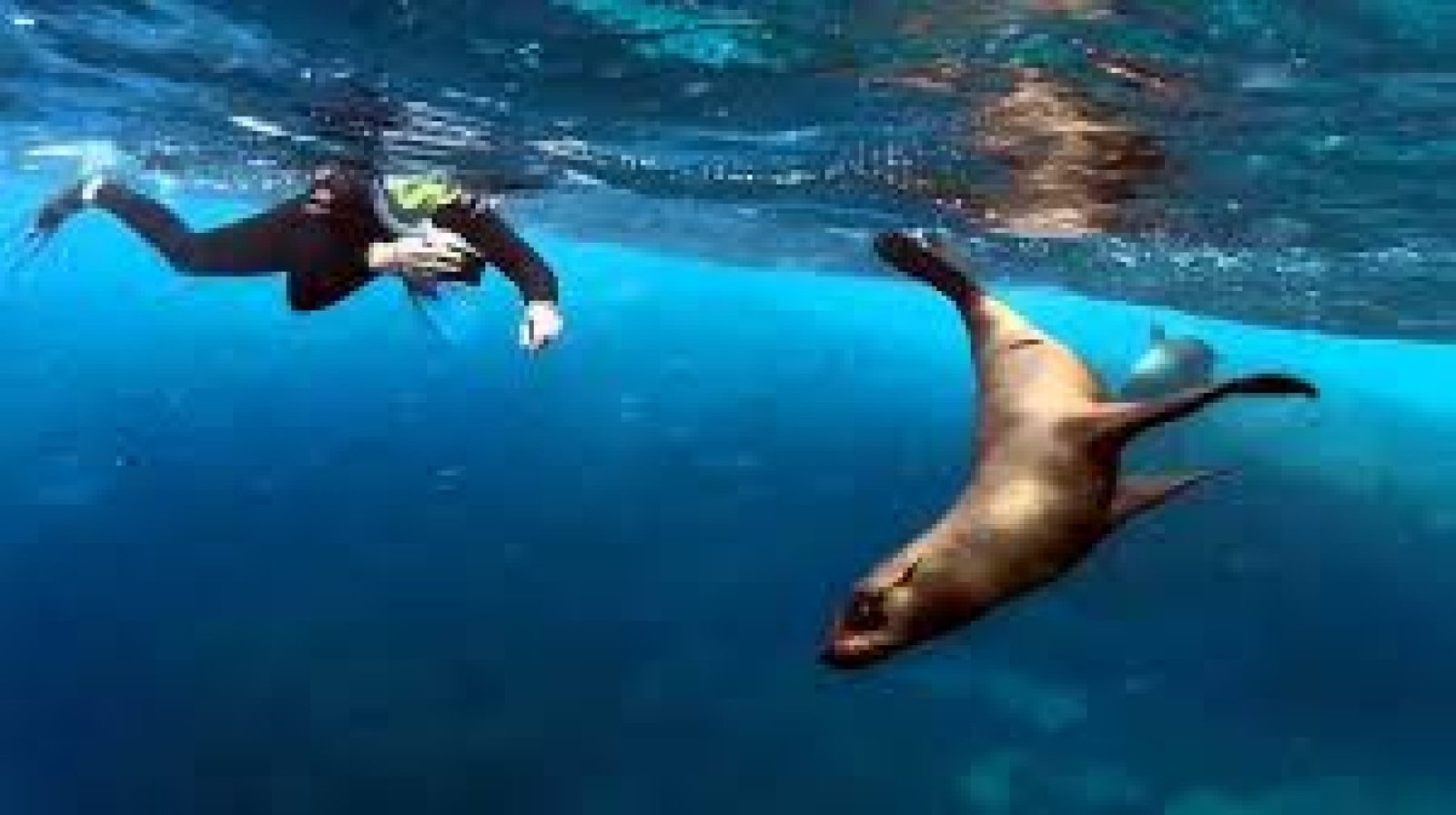 5 Unique Experiences You Can Only Have in the Galápagos Islands