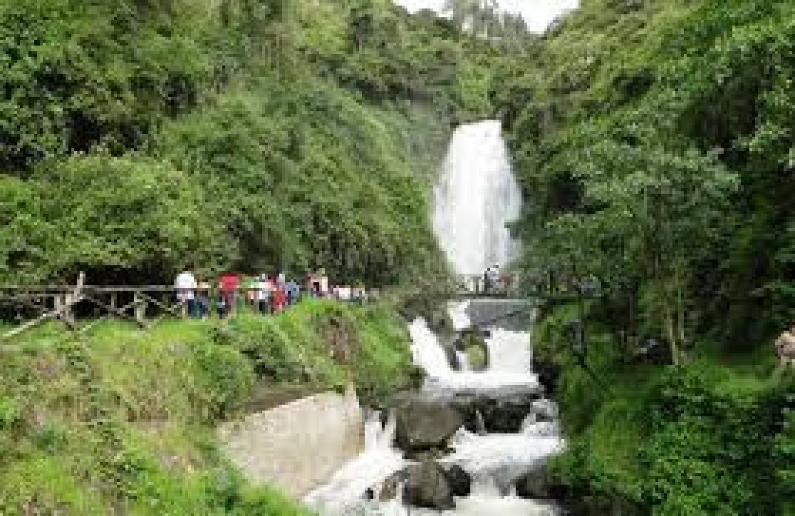Unique Experiences with Local Guides: Discover Ecuador with Experts