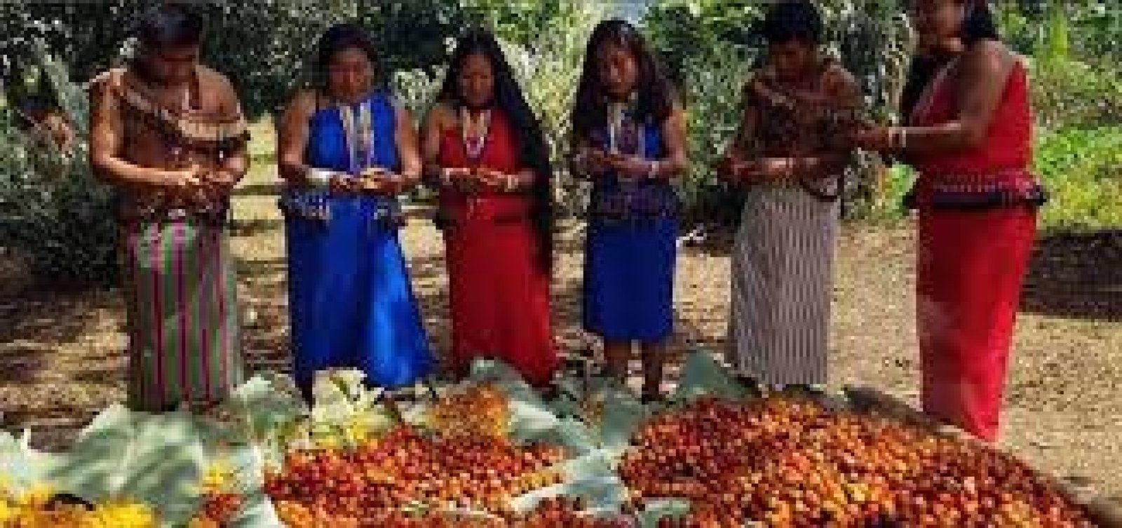 Fiesta de la Chonta: tradición y cultura amazónica en Ecuador
