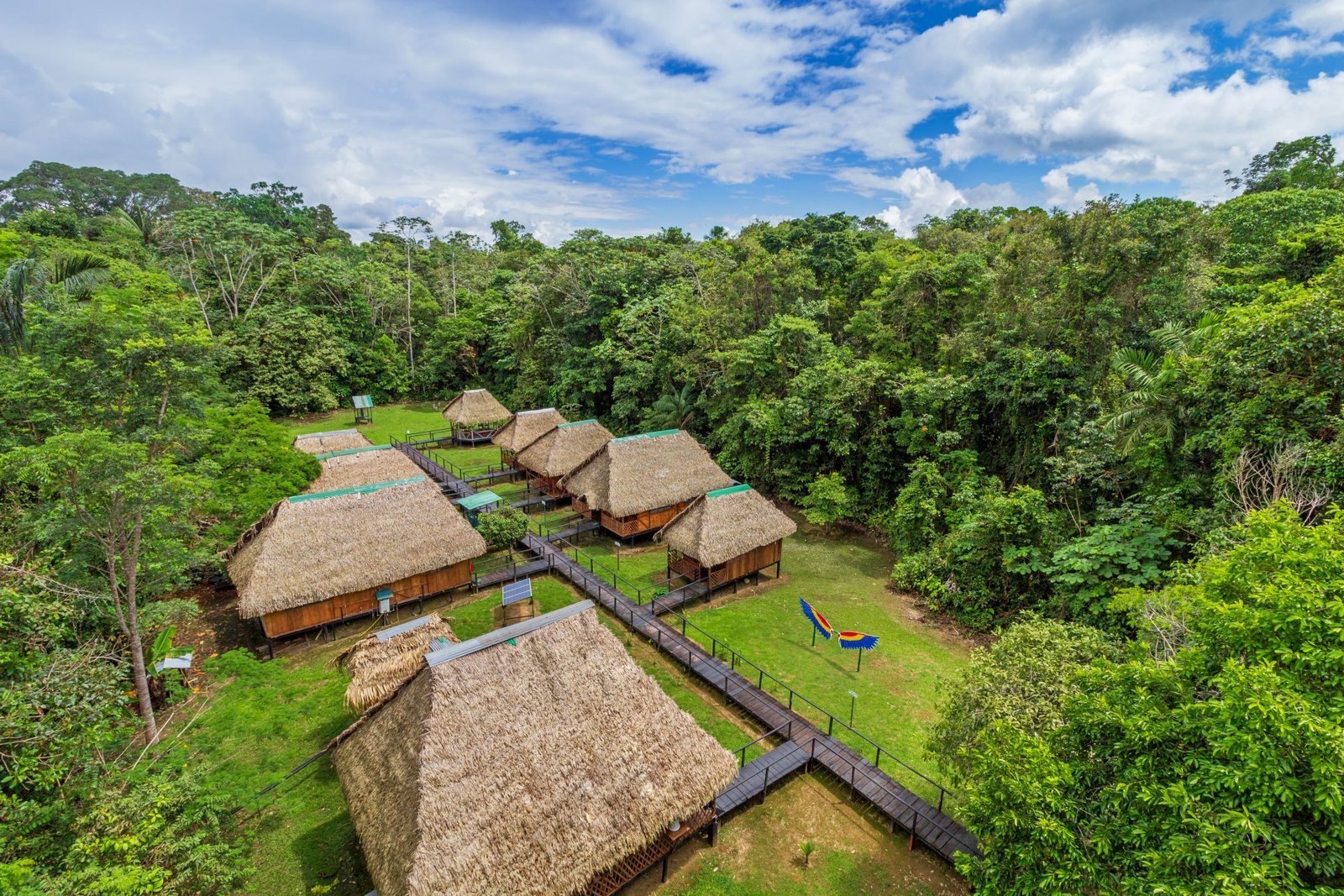 Cuyabeno Wildlife Reserve Guide Ecuador: Complete Amazon Travel Experience
