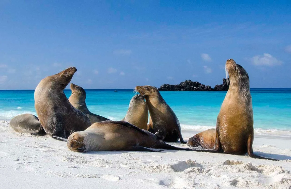 Why Ecuador Is South America's Hidden Gem