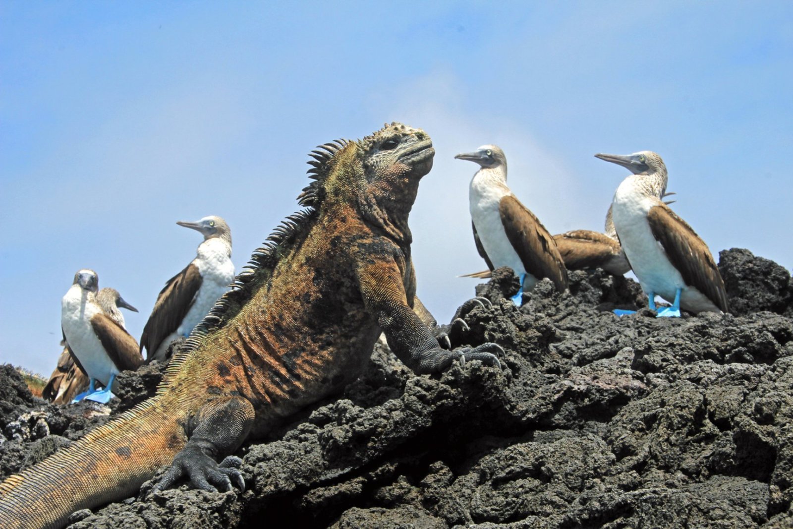 Day-by-Day Galapagos Itinerary for Adventure Travelers (Complete Guide)