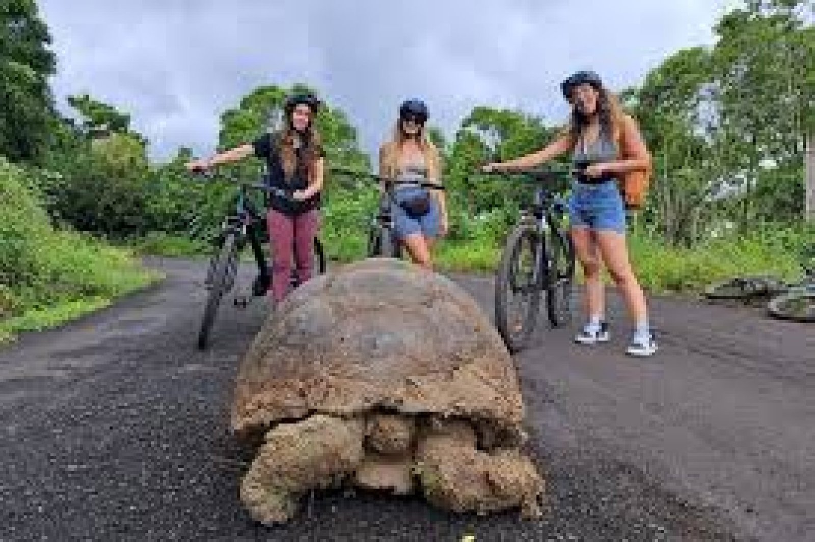 Galápagos by Bike: Scenic Routes to Explore the Islands at Your Own Pace