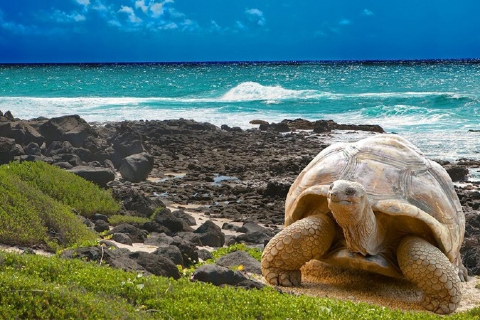 Playas Escondidas en Galápagos que Debes Visitar (Guía Completa)