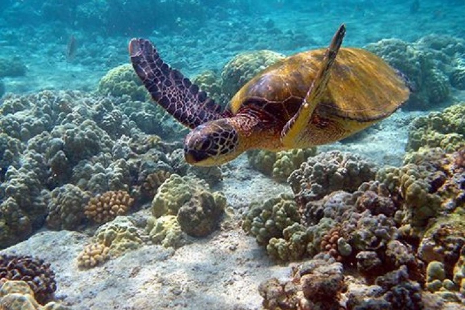 Best Time to Visit the Galápagos Islands Month by Month: Complete Travel Guide
