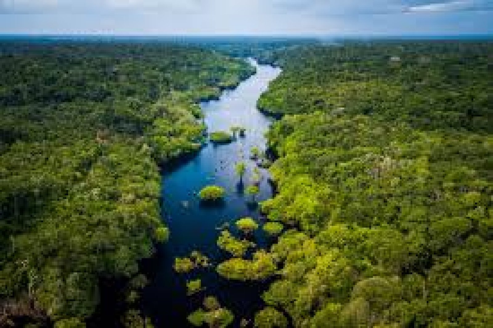 How to Combine Galápagos and the Amazon in One Trip