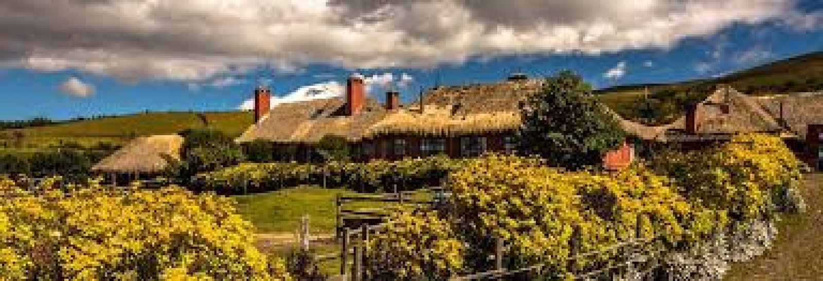 Hacienda El Porvenir by Tierra del Volcán: Andean tradition and authentic experiences at the foot of Cotopaxi